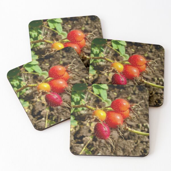 Item preview, Fall is here! designed and sold by Shulie1.