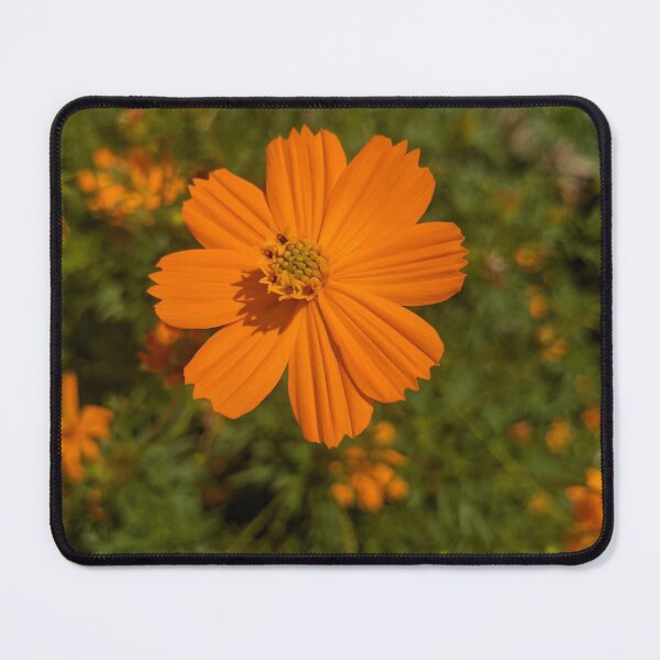 Item preview, Floating Flower designed and sold by iloveplantsalot.
