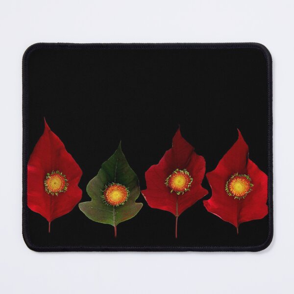 Item preview, Daisy Poinsettia Dark Floral designed and sold by LindasPhotoArt.
