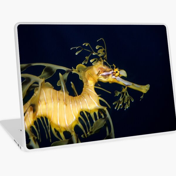 Leafy sea dragon Laptop Skin