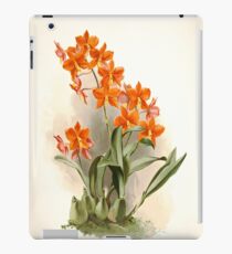 Reichenbachia Orchids illustrated and described by F. Sander 1888 V1-V2 047 iPad Case/Skin