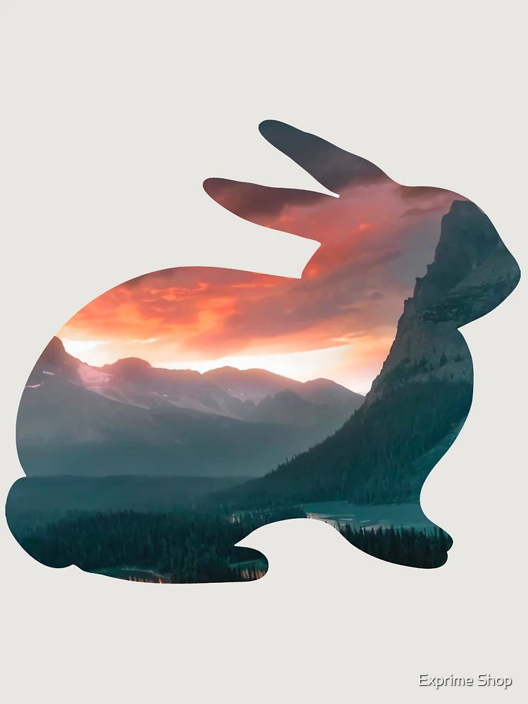 Thumbnail 6 of 6, Premium Oversized Hoodie, Sunset Rabbit designed and sold by Exprime Shop.