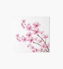 Sakura Cherry Blossom Art Board
