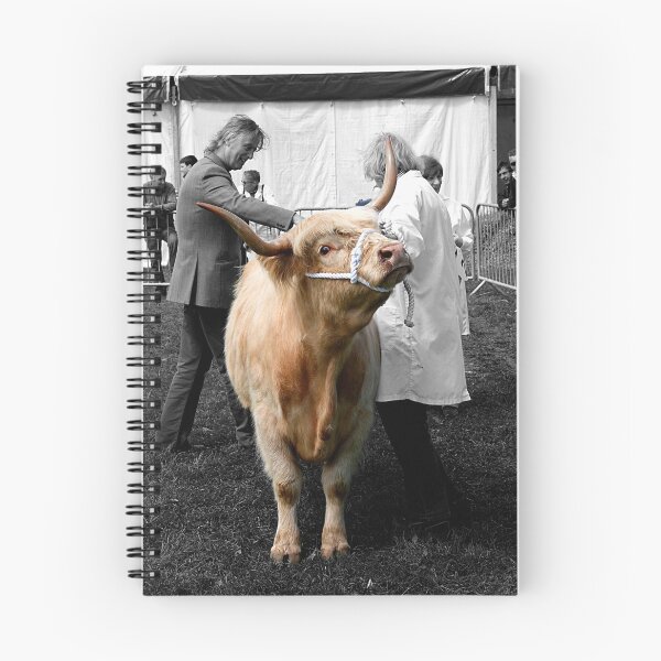Item preview, Northumberland Show Bull 2012 designed and sold by axp7884.