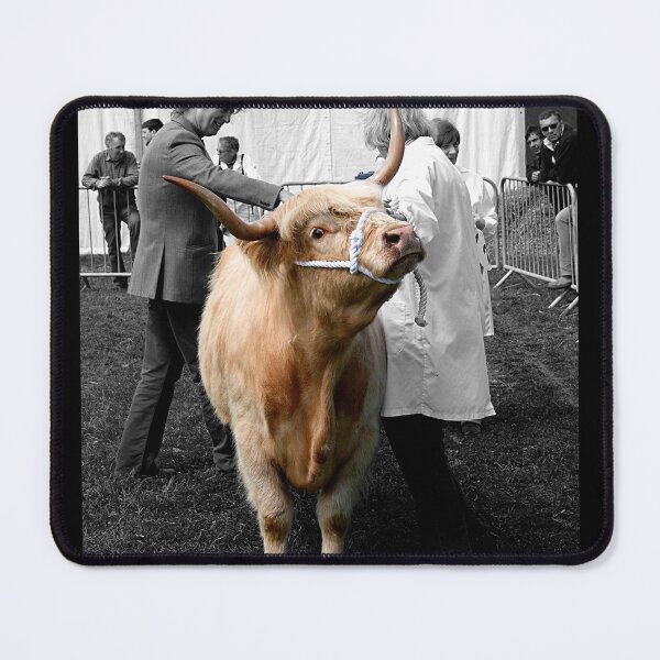 Item preview, Northumberland Show Bull 2012 designed and sold by axp7884.