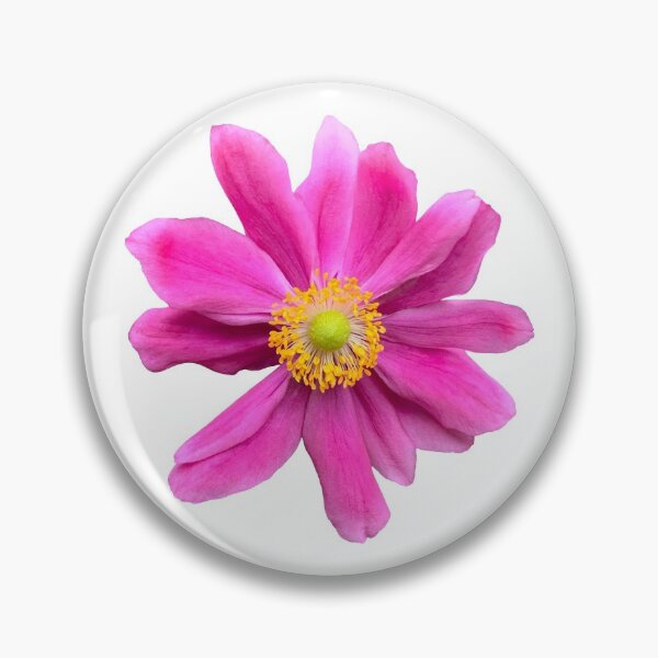 Item preview, Pink Anemone Flower Still Life Floral Photography designed and sold by CottoVerdi.
