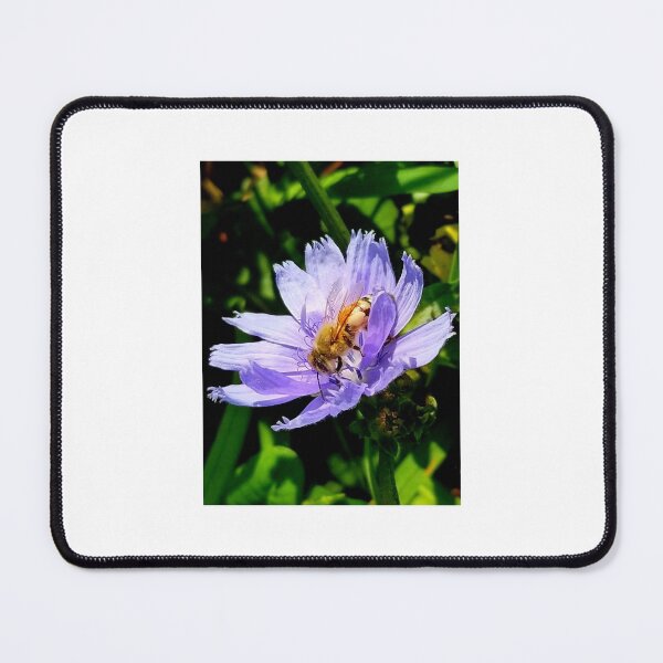 Item preview, Honeybee on Flower designed and sold by JustForFun91.