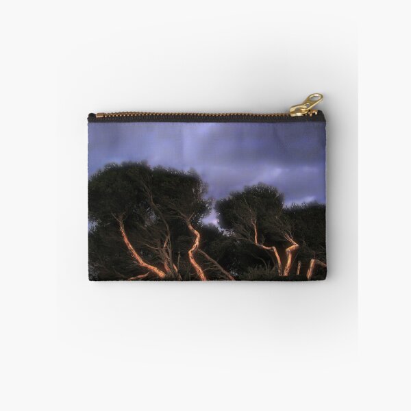Item preview, cyprus trees designed and sold by Mark Malinowski.