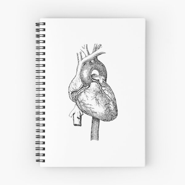 Item preview, Anatomical Heart 1867 designed and sold by BelleZeare.