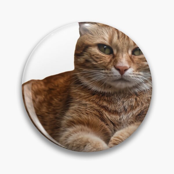 Item preview, grumpy sassy cat designed and sold by DiviaDesigns.