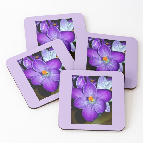 Item preview, Purple Crocus  designed and sold by JustForFun91.