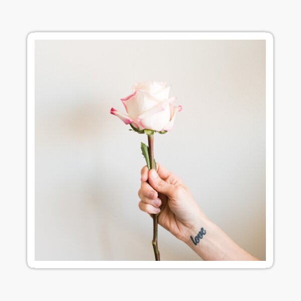 Pink and cream rose with love Sticker