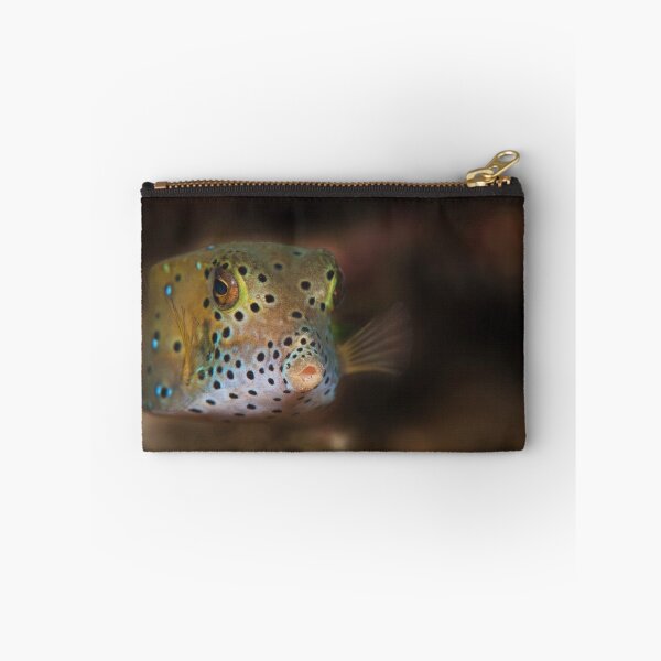 Item preview, Box fish - Lembeh Straits  designed and sold by Stephen Colquitt.