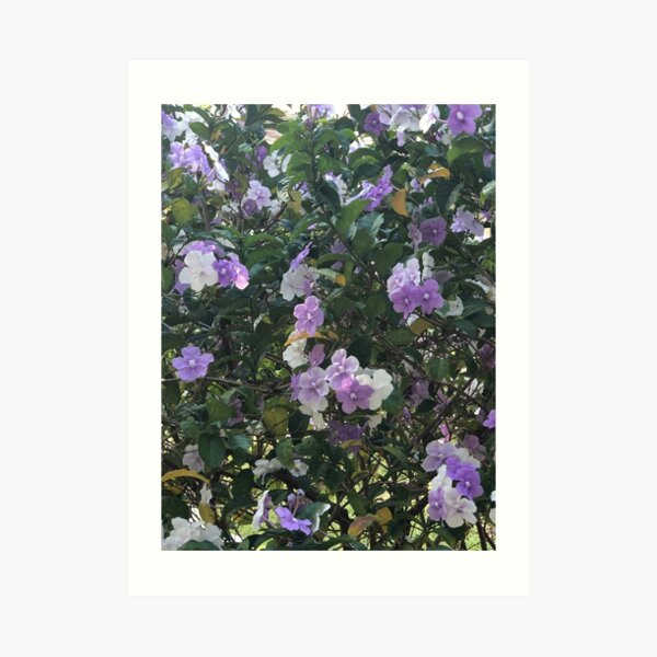 Peaceful Purple Art Print
