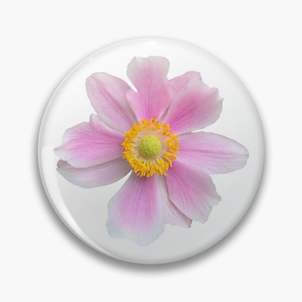 Item preview, Pink Anemone Flower Still Life Floral Photography designed and sold by CottoVerdi.