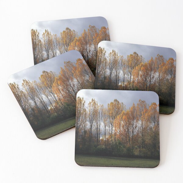 Item preview, Autumn in the forest designed and sold by Sara Sanchez PHOTO.