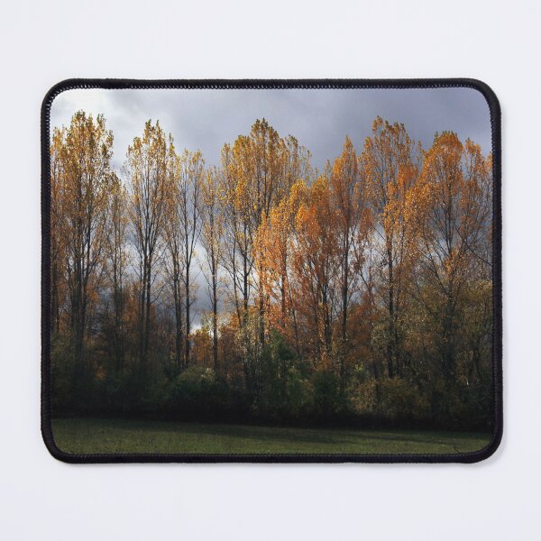 Item preview, Autumn in the forest designed and sold by Sara Sanchez PHOTO.