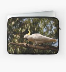 sulphur-crested cockatoo Laptop Sleeve
