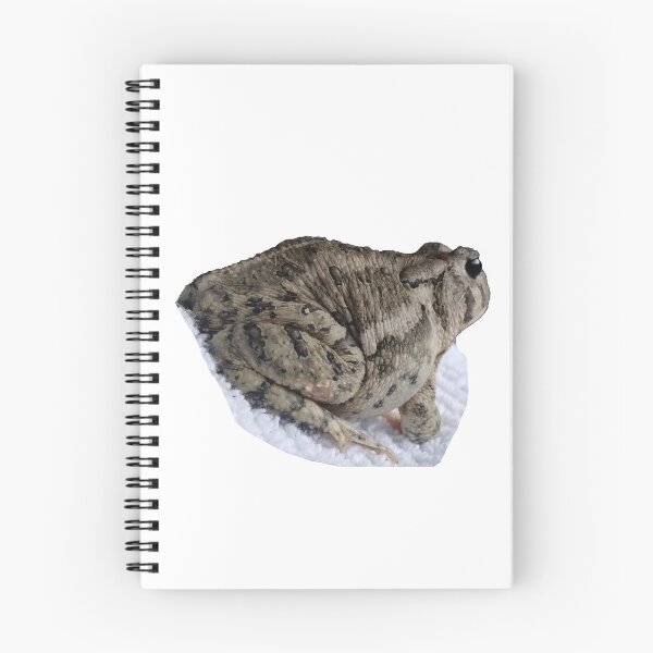 Item preview, American Common Toad designed and sold by PastelHellhound.