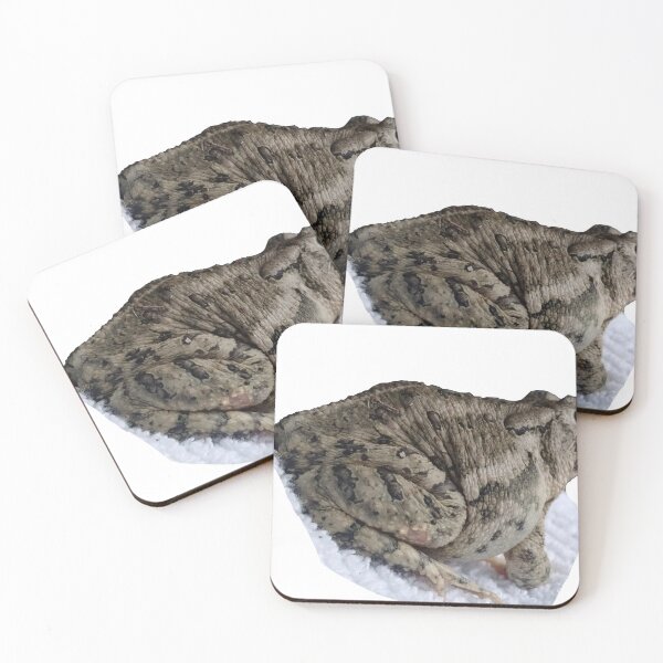 Item preview, American Common Toad designed and sold by PastelHellhound.