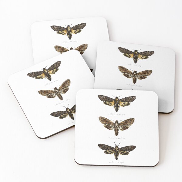 Item preview, Death's Head Hawk Moths designed and sold by sarah-oconnell.