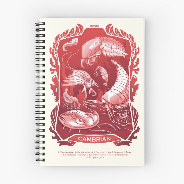 Item preview, CAMBRIAN designed and sold by dinoserious.