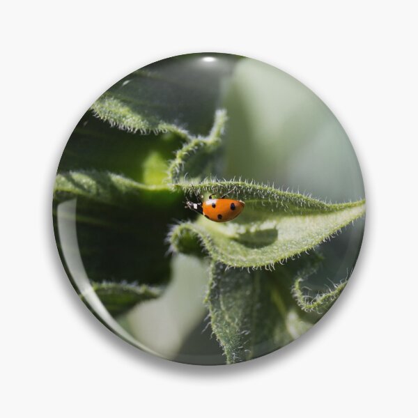 Item preview, Lady Bug designed and sold by OLP16.