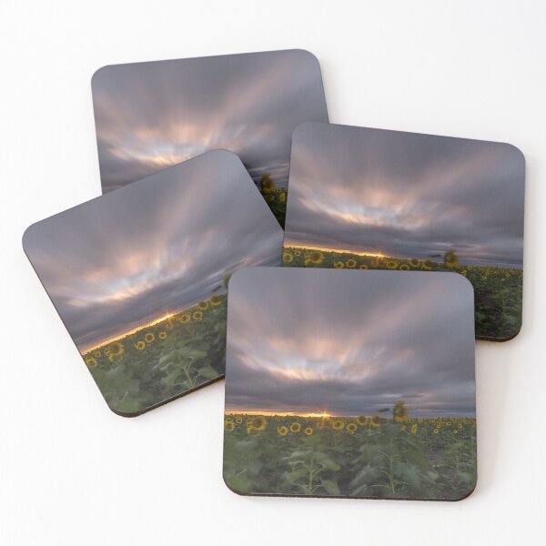 Item preview, sunflowers designed and sold by warren dacey.