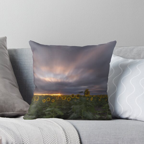 Item preview, sunflowers designed and sold by warren dacey.