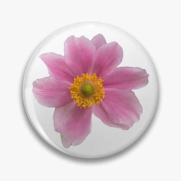 Item preview, Pink Anemone Flower Still Life Floral Photography designed and sold by CottoVerdi.