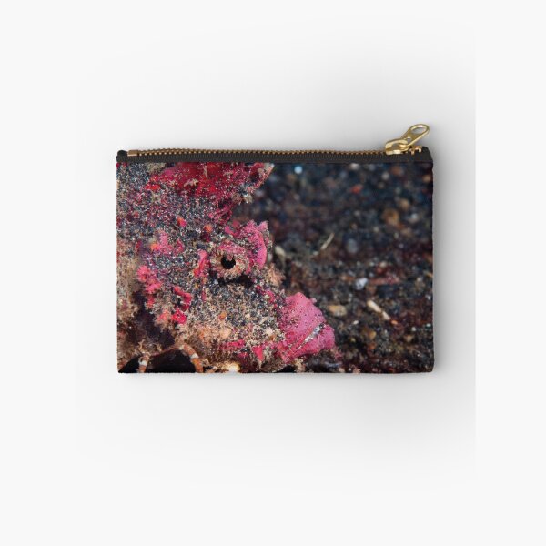 Item preview, Spiny devil fish - Lembeh Straits designed and sold by Stephen Colquitt.