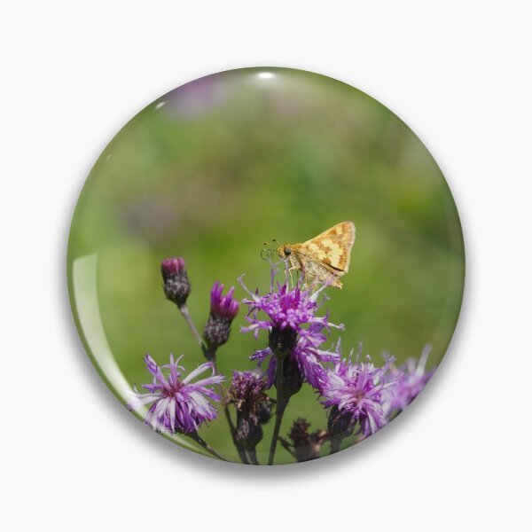 Item preview, Peck's Skipper with curled Proboscis designed and sold by acwb.