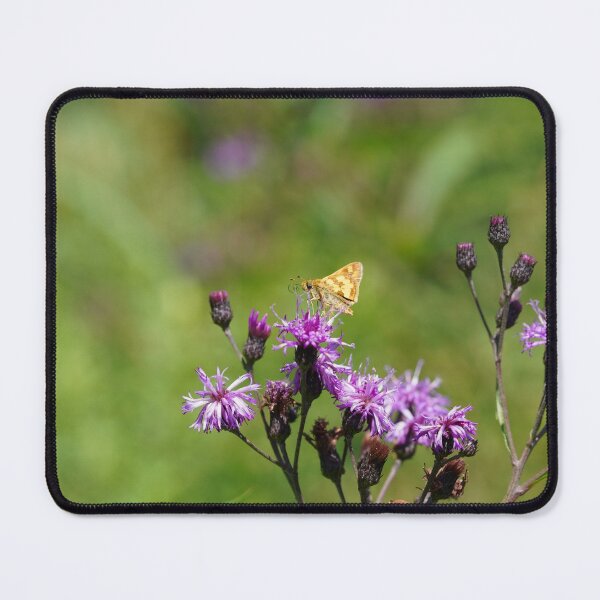 Item preview, Peck's Skipper with curled Proboscis designed and sold by acwb.