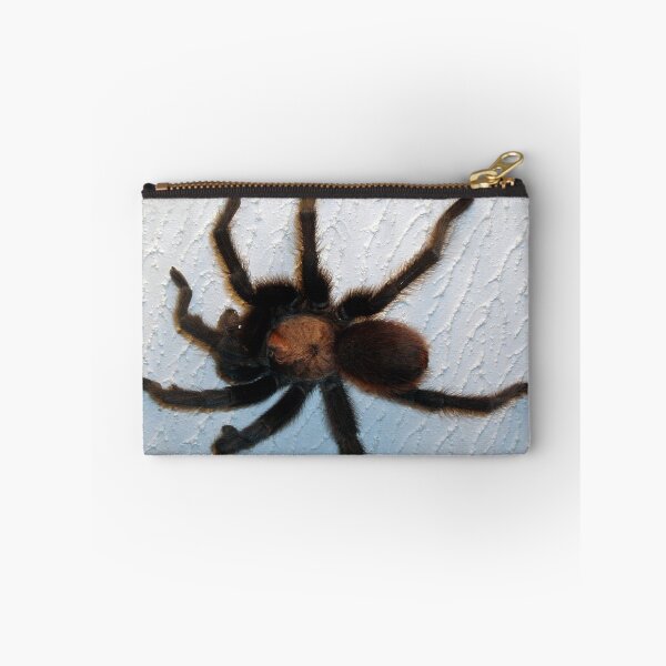 Item preview, Big, Fat, Scary Tarantula! designed and sold by Marcia Rubin.