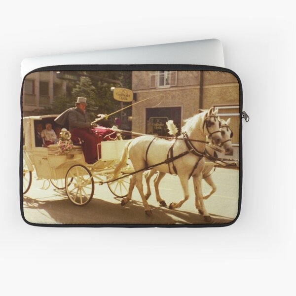 Aperçu de l'œuvre Cheval et calèche, Vienne 1988 créée et vendue par RogerRoy.