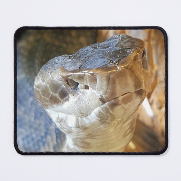 Item preview, Water Moccassin designed and sold by Dead-Moroz.