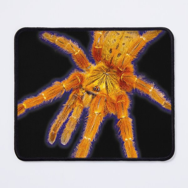 Item preview, Orange Tarantula designed and sold by abowlofsoda.