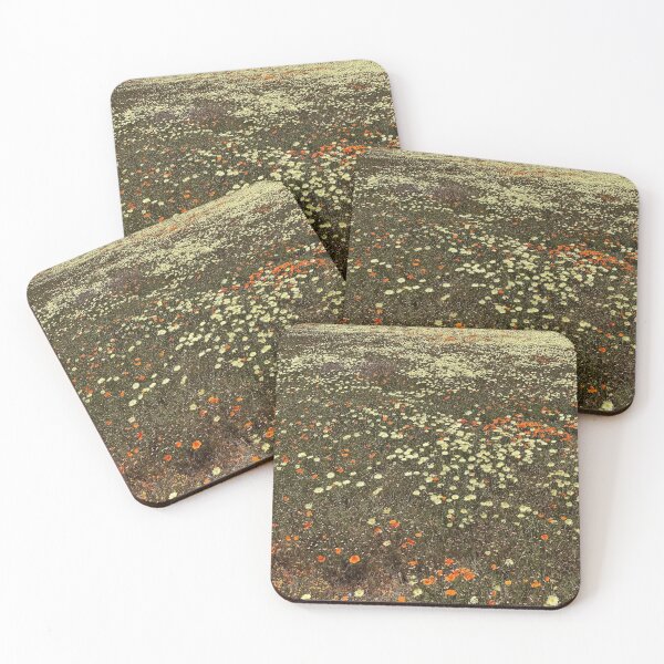 Item preview, Field of Wild Flowers designed and sold by TsukiLabel.