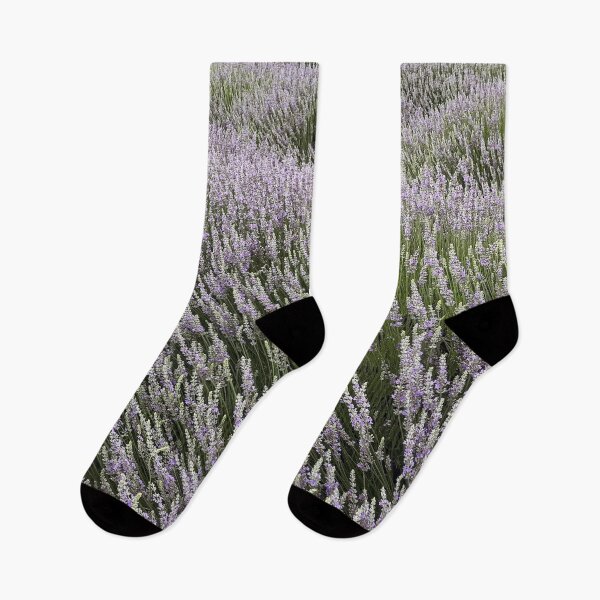 Item preview, Lavender Fields designed and sold by TsukiLabel.