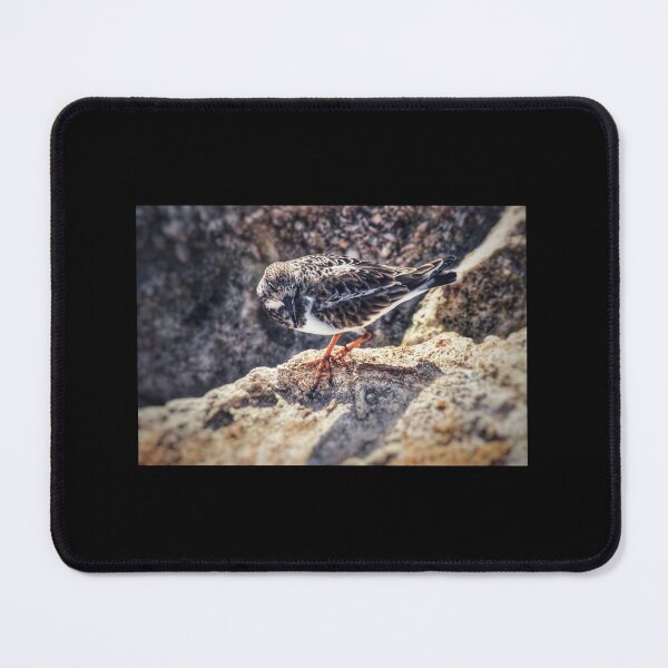 Item preview, Sand Piper on the Rocks designed and sold by Jennifer Phipps.