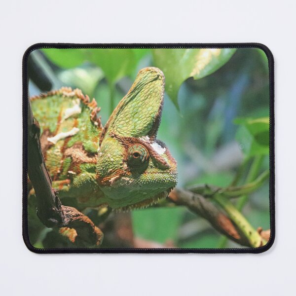 Item preview, Veiled Chameleon designed and sold by LeanneAllen.