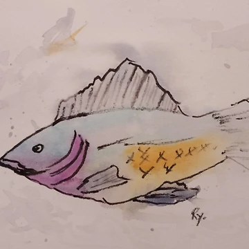 Artwork thumbnail, Mr.Floaty by RudyYoder