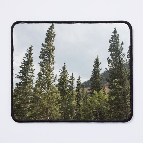 Item preview, Conifers  designed and sold by Jacquelie.
