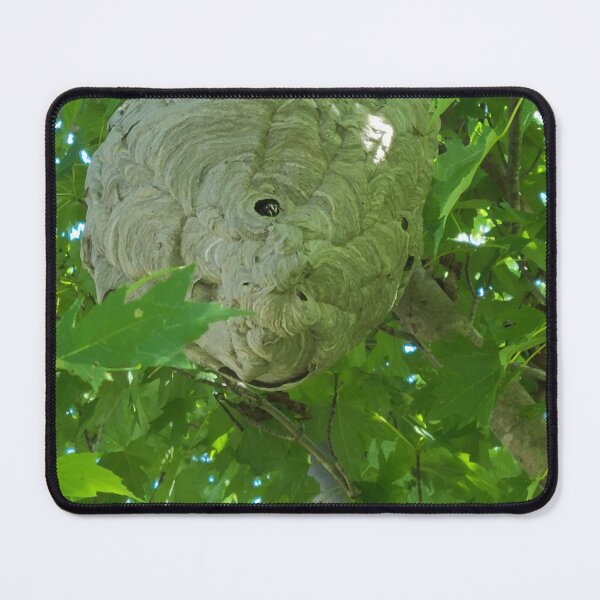 Item preview, Bald faced hornet nest designed and sold by TattoosandMore.