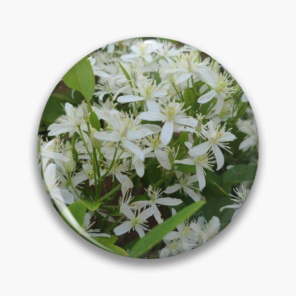 Item preview, Late summer Clematis flowers designed and sold by TattoosandMore.