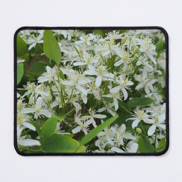 Item preview, Late summer Clematis flowers designed and sold by TattoosandMore.