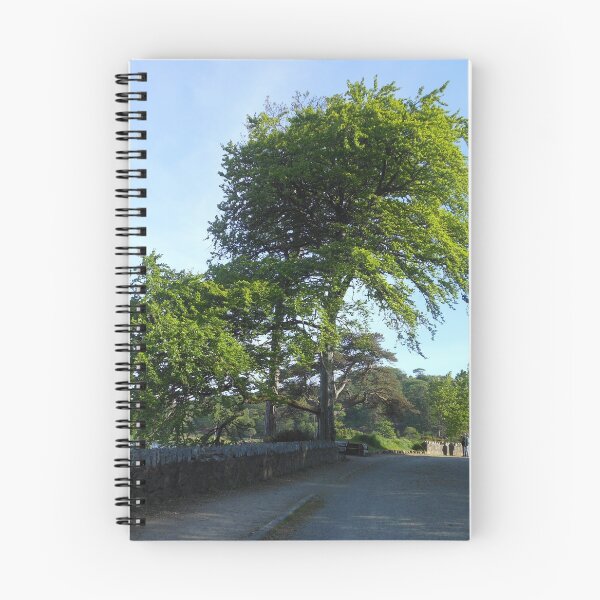 Item preview, An Evening Stroll In The Castle Grounds designed and sold by BlueMidnight.