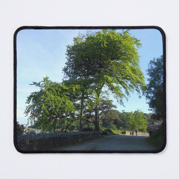 Item preview, An Evening Stroll In The Castle Grounds designed and sold by BlueMidnight.