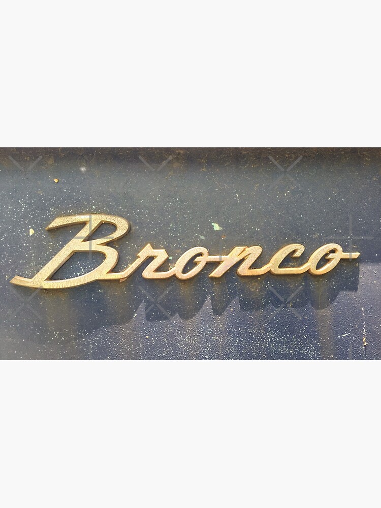 Ford Bronco Chrome Logo Dog Pet Bandana, Size: Large, White