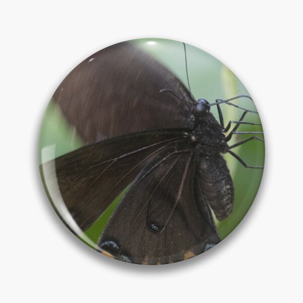 Item preview, Swallowtail Series designed and sold by Jacquelie.
